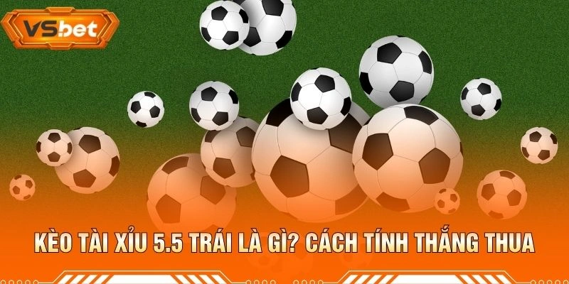 Kèo Tài Xỉu 5.5 Trái Là Gì? Cách Tính Thắng Thua