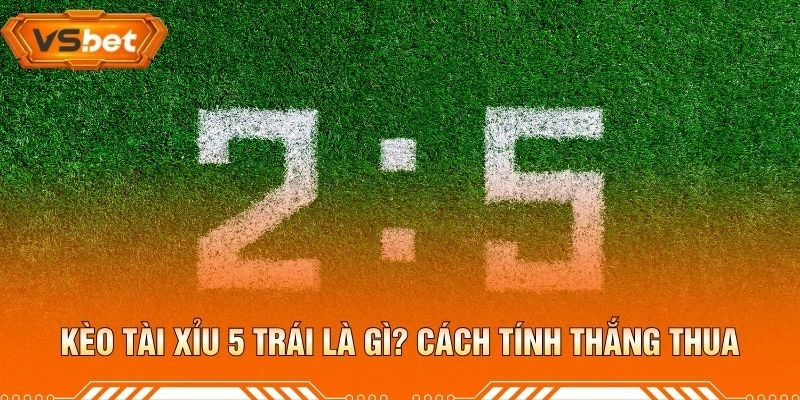 Kèo Tài Xỉu 5 Trái Là Gì? Cách Tính Thắng Thua