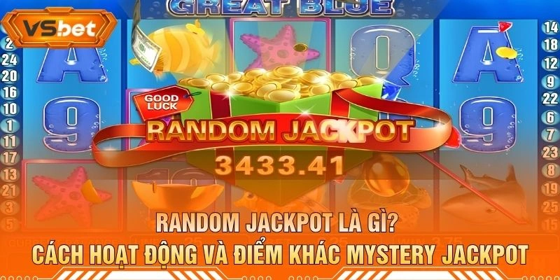 Random Jackpot Là Gì? Cách Hoạt Động Và Điểm Khác Mystery Jackpot