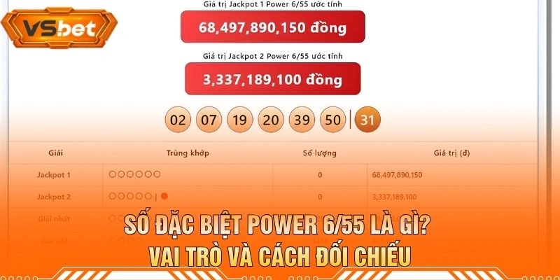 Số Đặc Biệt Power 6/55 Là Gì? Vai Trò Và Cách Đối Chiếu